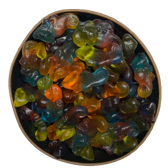 Chamäleons