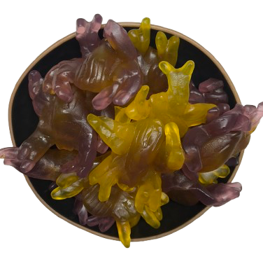 Araignées XL