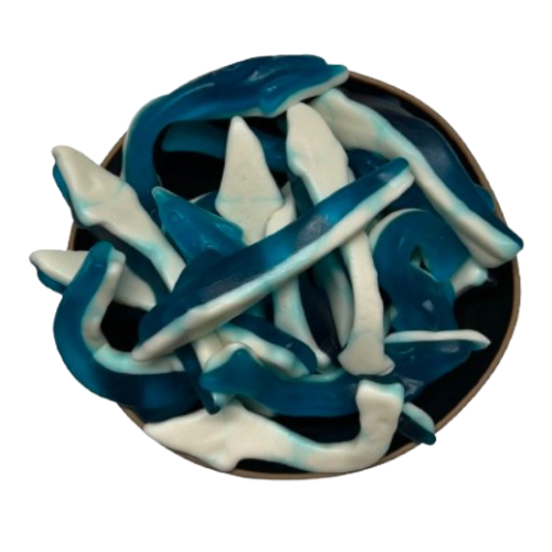 Dauphins XL
